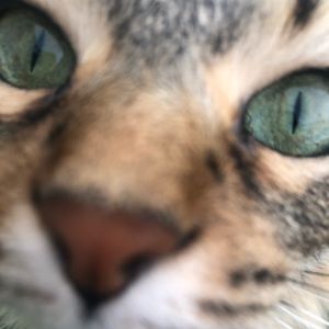 Meet your Posher, Beth